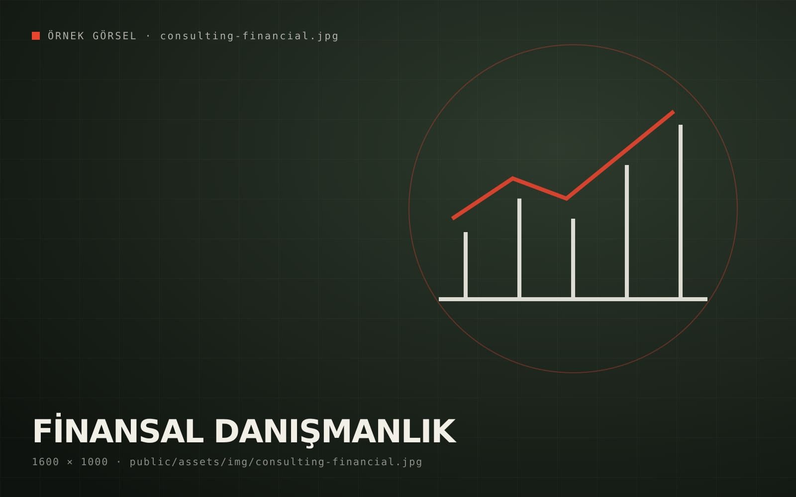 Financial Consulting – Consulting Services