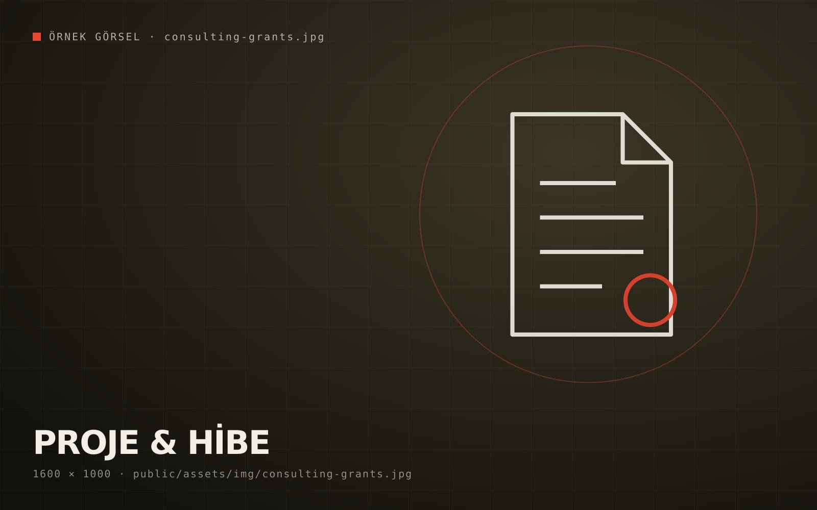 Project & Grant Consulting – Consulting Services