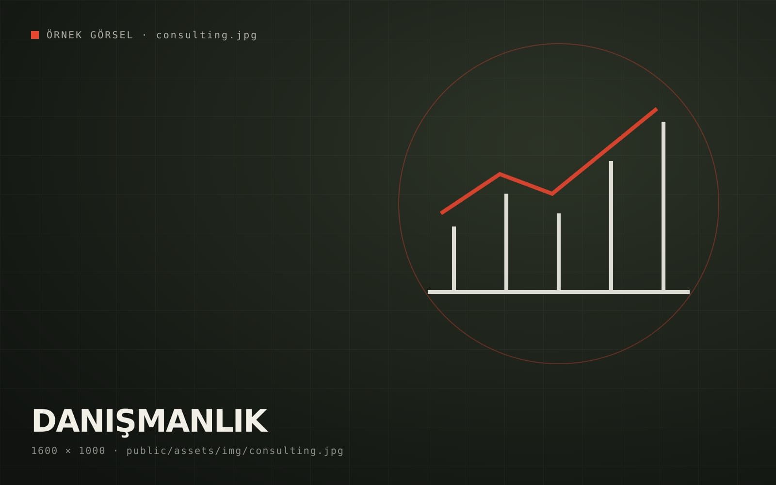 Danışmanlık Hizmetleri
