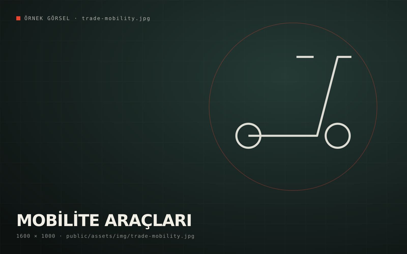 Mobility Vehicles – International Trade